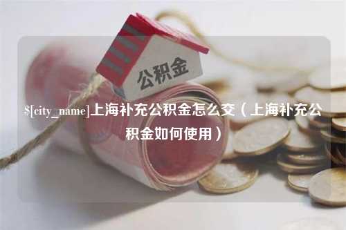 东阳上海补充公积金怎么交（上海补充公积金如何使用）